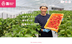 制作実績に岐阜県高山市の「m Berry Farm」様を追加しました。